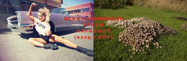 спиды Верея