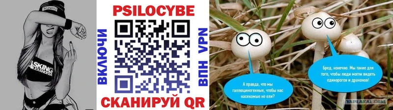 Купить  Малмыж  Псилоцибиновые грибы GOLDEN TEACHER 