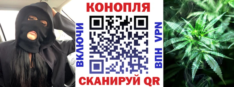 Бошки марихуана марихуана  Купить  Малмыж 
